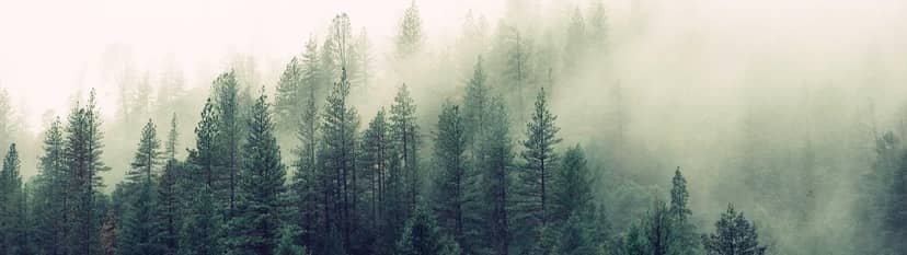 Unauth title RsyajQGW