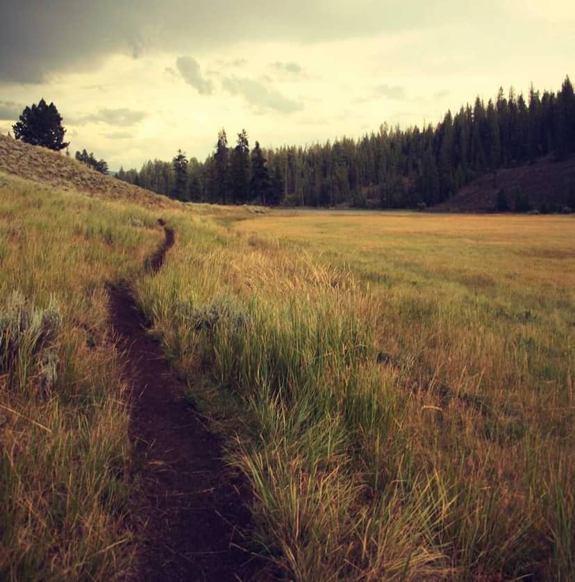 Unauth title djTuxDXM